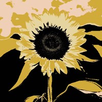 Pop Art Sunflower IV Fine Art Print