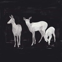 Sophisticated Whitetail II Fine Art Print