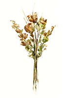 Autumn Roses I Framed Print