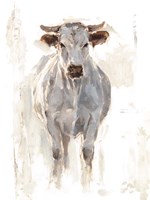 Sunlit Cows I Fine Art Print