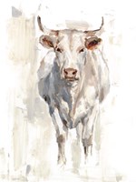 Sunlit Cows II Framed Print