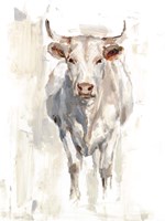 Sunlit Cows II Fine Art Print