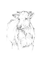 Bovine Quick Study II Fine Art Print