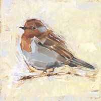 Bird Variety I Fine Art Print