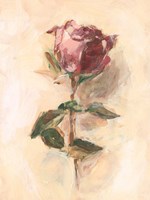 Painterly Rose Study I Framed Print