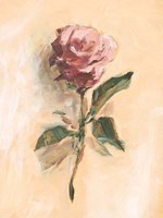 Painterly Rose Study II Fine Art Print