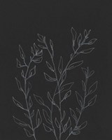 Simple Stalk I Fine Art Print