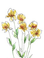Amber Tulips II Fine Art Print
