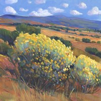 Chamisa I Framed Print