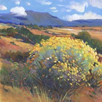 Chamisa II Framed Print