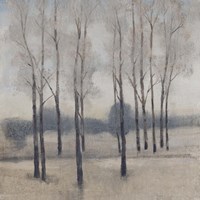 Soft Light I Fine Art Print