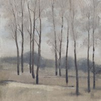 Soft Light II Fine Art Print