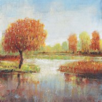 Lake Reflections I Framed Print