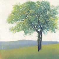 Solitary Tree II Fine Art Print