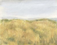Wheat Fields II Framed Print