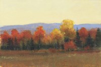 Changing Colors I Framed Print