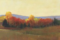 Changing Colors II Framed Print