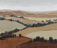 Soaring View II Framed Print