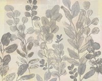 Leaf Pattern II Framed Print