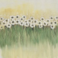 Rows of Flowers I Fine Art Print