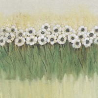 Rows of Flowers II Fine Art Print