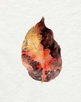 Watercolor Autumn Leaf I Fine Art Print