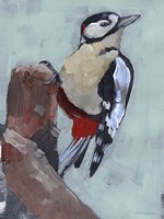 Woodpecker Paintstrokes II Fine Art Print