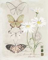 Field Notes Florals IV Fine Art Print