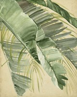 Banana Palms I Fine Art Print