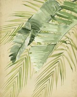 Banana Palms II Fine Art Print