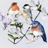 Four Little Birds I Framed Print