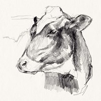 Holstein Portrait Sketch II Fine Art Print