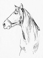 Bridle Portraits I Fine Art Print