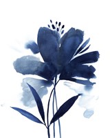 Blazing Bloom II Framed Print