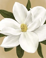 Magnolia on Gold I Fine Art Print