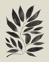 Branched Composition II Framed Print