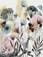 Watercolor Wildflower II Fine Art Print