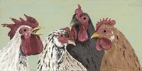 Four Roosters Fine Art Print