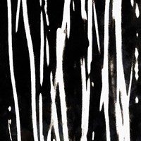 Streaking Paths I Fine Art Print