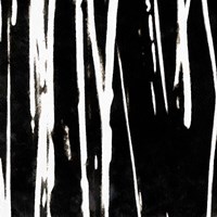 Streaking Paths II Fine Art Print