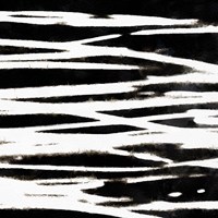 Streaking Paths IV Fine Art Print