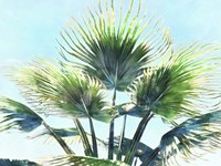 Pleasant Palms II Fine Art Print