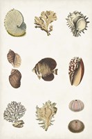 Antique Coastal Chart I Framed Print