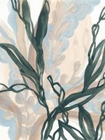 Seaweed Drift I Framed Print