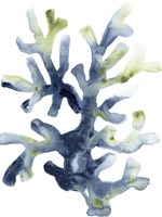 Liquid Coral I Fine Art Print