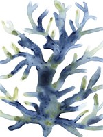 Liquid Coral III Fine Art Print