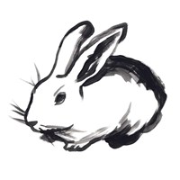 Winter Rabbit II Framed Print