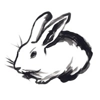 Winter Rabbit II Fine Art Print