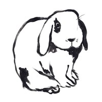 Winter Rabbit III Framed Print