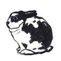 Winter Rabbit IV Fine Art Print